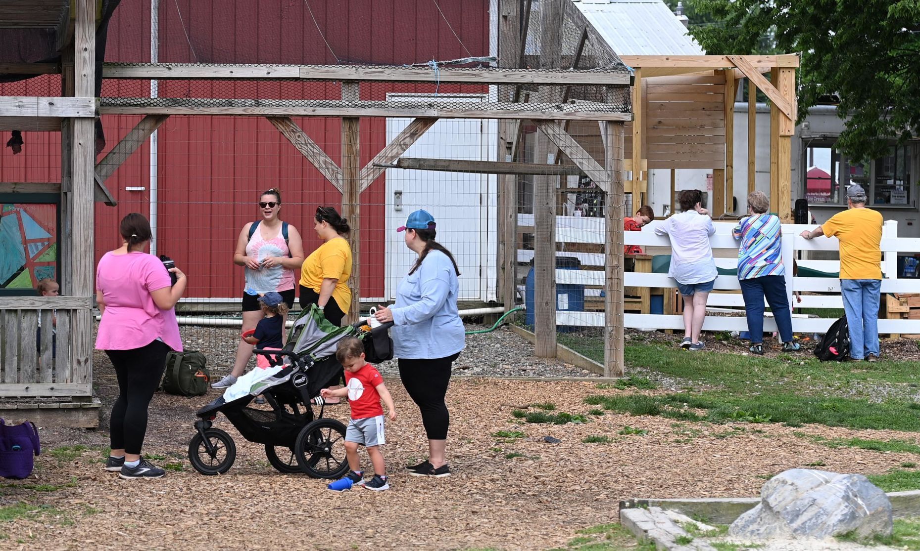 Hands-on farming activities at Paulus Farm Market 4